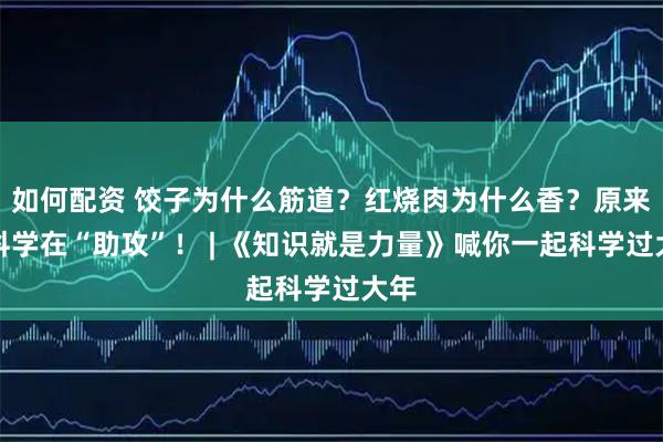 如何配资 饺子为什么筋道？红烧肉为什么香？原来是科学在“助攻”！ | 《知识就是力量》喊你一起科学过大年