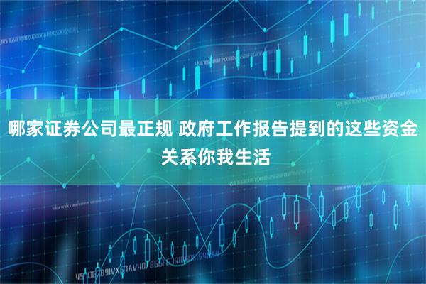 哪家证券公司最正规 政府工作报告提到的这些资金 关系你我生活