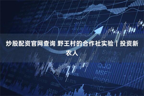 炒股配资官网查询 野王村的合作社实验｜投资新农人