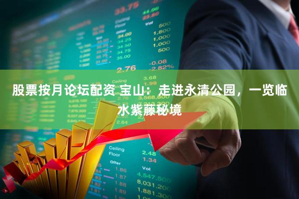 股票按月论坛配资 宝山：走进永清公园，一览临水紫藤秘境