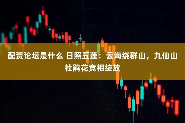 配资论坛是什么 日照五莲：云海绕群山，九仙山杜鹃花竞相绽放