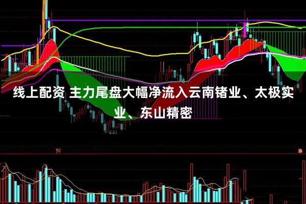 线上配资 主力尾盘大幅净流入云南锗业、太极实业、东山精密