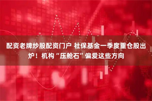 配资老牌炒股配资门户 社保基金一季度重仓股出炉！机构“压舱石”偏爱这些方向